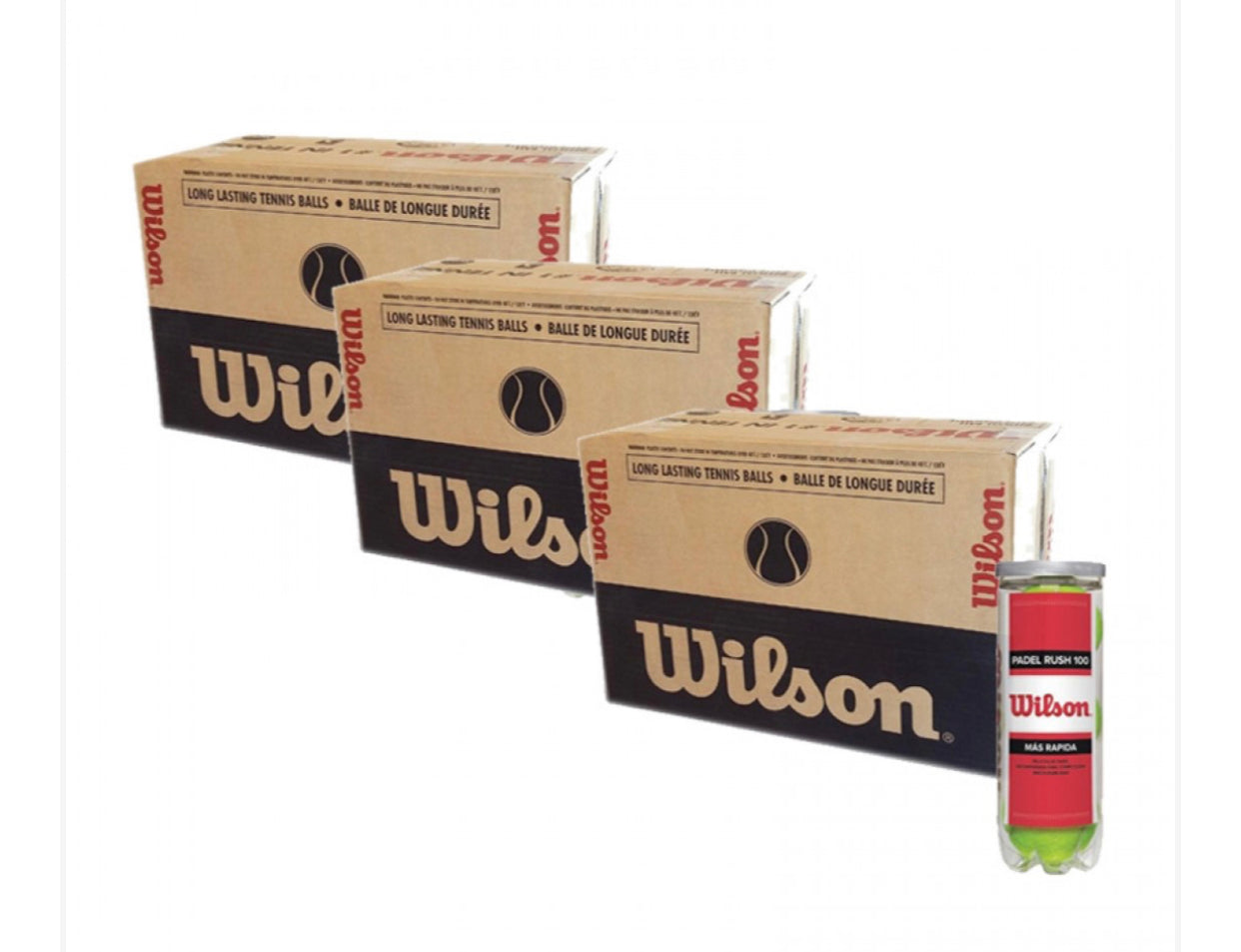Scatola 72 Palline - 24 Contenitori da 3 pz - Wilson Rush 100 x 3 Unita